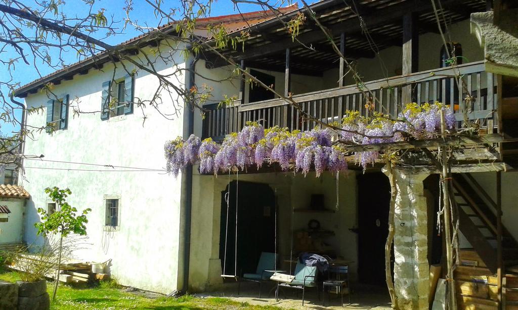 Apartmaji Hedera Komen Kültér fotó